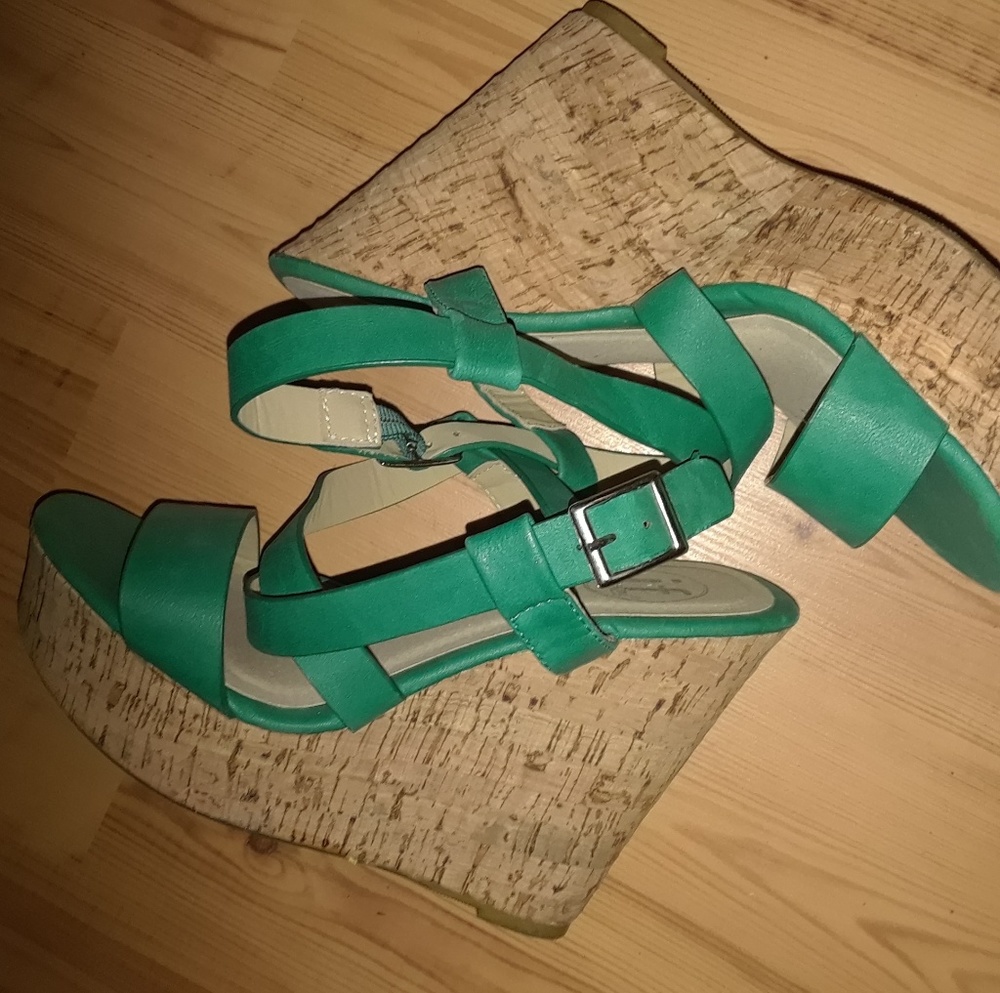 Teal Wood Wedges